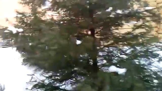 Производство и сборка срубов.(рубка в чашу,лапу) смотреть онлайн