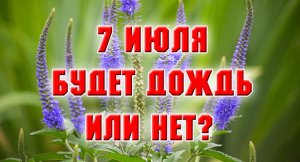 7 июля. Ураган, будет дождь или нет.mp4