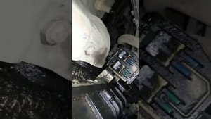 Последствия течи масла через датчик(клапан) фаз грм форд фокус 3 1.6 125 лс