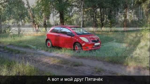 Урочище Кривоборье