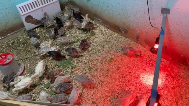 04-06-2023 смотреть онлайн