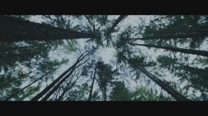 Сериал «Топи» | Смотреть на Kartina.TV