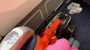 Летим в Испанию с собакой // Перелёт с собакой бизнес-классом // Долгий перелёт с собакой на Канары