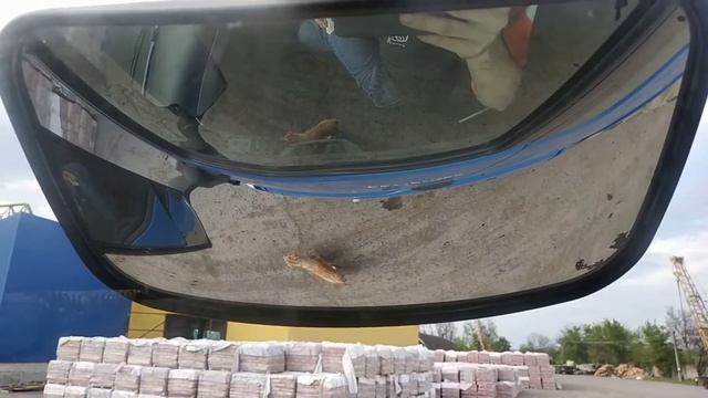 Ожидание загрузки/отмена заказа смотреть онлайн