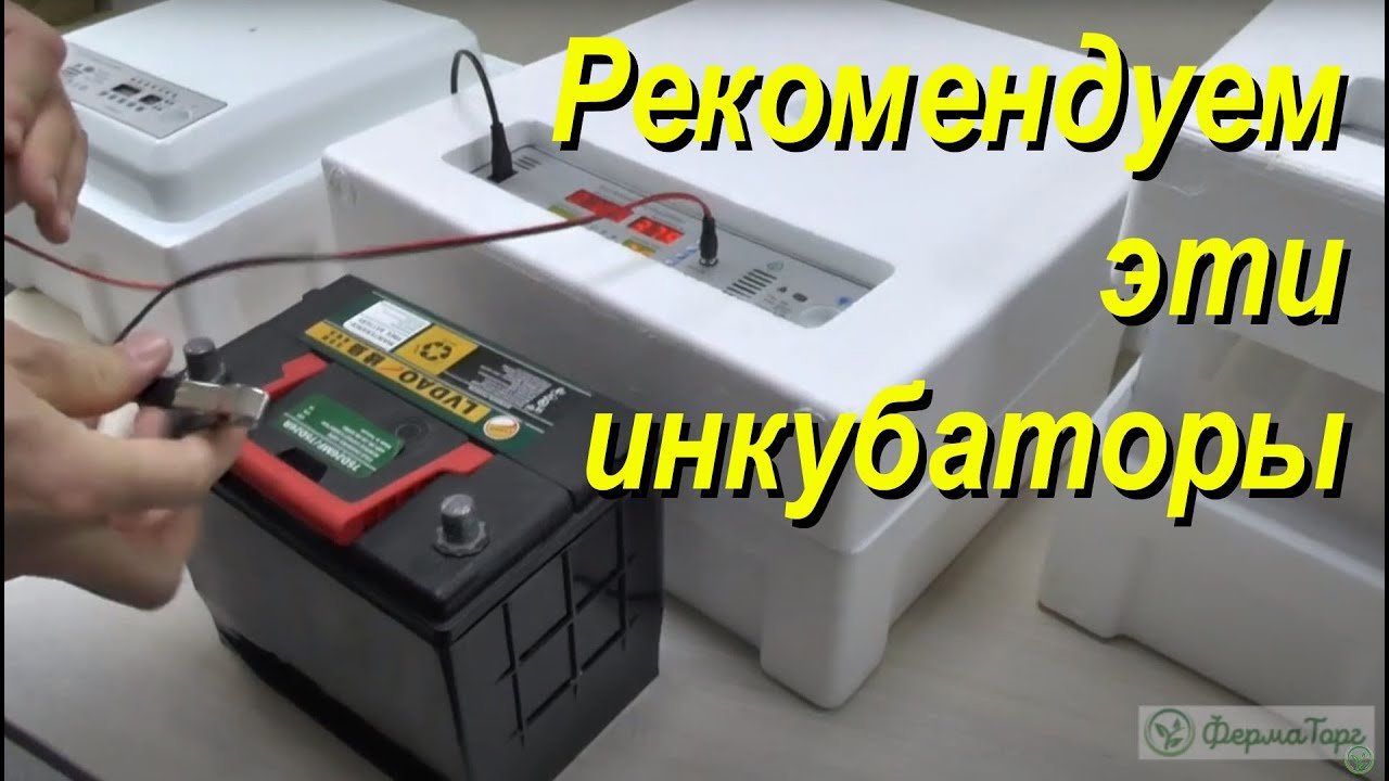 Эти настольные автоматические инкубаторы - одни из лучших. Вместимость от 36 до .mp4