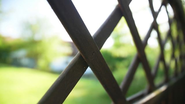 DIE 3 BESTEN OBJEKTIVE FÜR DIE GH5 & ANDERE MFT KAMERAS! смотреть онлайн