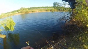 РЫБАЛКА В ВОРОНЕЖЕ НА ПЕРЛЕВСКОМ, ГОТОВИМ ШУРПУ (ВОРОНЕЖ 2021)