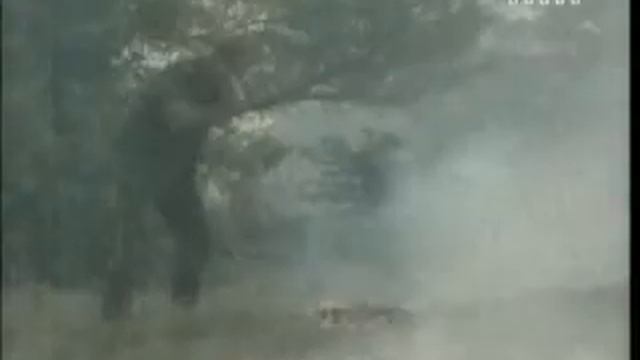 Пожары в четырёх регионах Украины смотреть онлайн