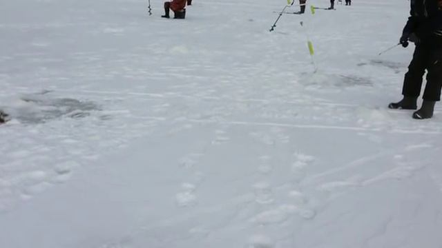 Блеснение судака смотреть онлайн