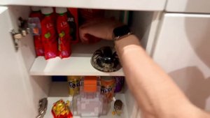 Катя и папа поселились в комнате у Макса