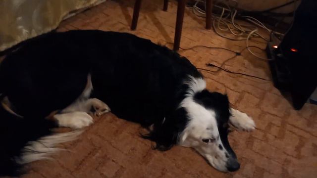 Бонд устал после дачи смотреть онлайн