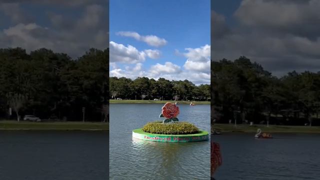 Озеро Суан Хыонг, г. Далат, провинция Лам Донг, Вьетнам. Xuan Huong lake, Dalat city, Vietnam