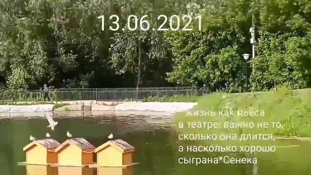 природа.зарисовки.Лукерьинский пруд.
