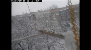 Трансляция кормушки для синичек / Live birds feeder