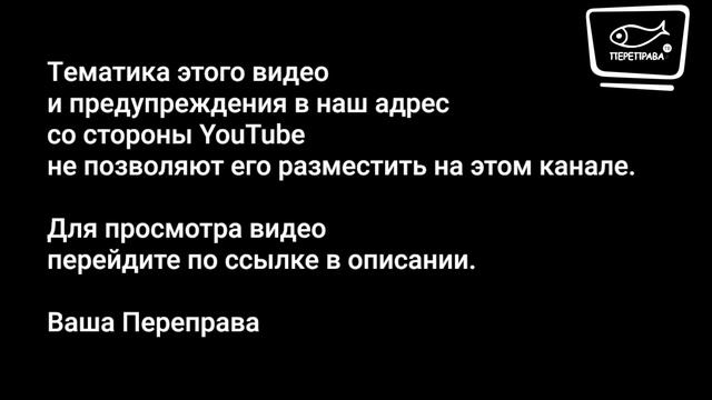 Реплика Катасонова. Письмо 11-ти врачей: в огороде бузина, а в Киеве дядька смотреть онлайн