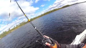 Свимбейт Savage Gear 3D 4Play Liplure. Ловля на течении.