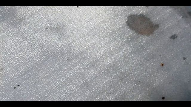 Состояние слабых пчелосемей в начале мая. смотреть онлайн