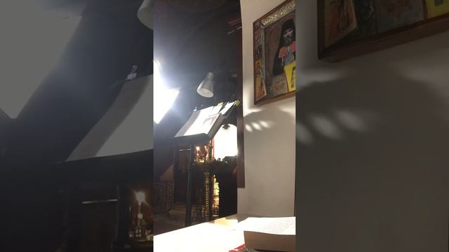 Богородице Дево, радуйся. смотреть онлайн