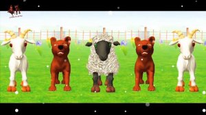 El Pollito Pio 3D Plus - Concoines De La Granja De Zenon Poco Pio 3D Plus Gameply Android -33