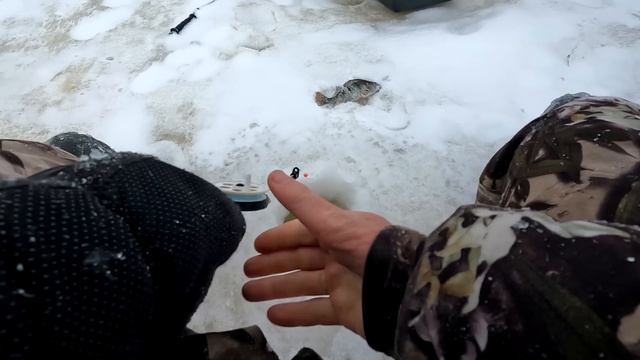 СНАЧАЛА НАДРАЛ ОКУНЕЙ, А ПОТОМ ПРОВЕРИЛИ ПРОДОЛЬНИКИ НА НАЛИМА! Зимняя рыбалка 2023-24