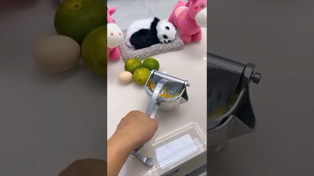 Соковыжималка механичкая ,Соковыжималка ручная смотреть онлайн