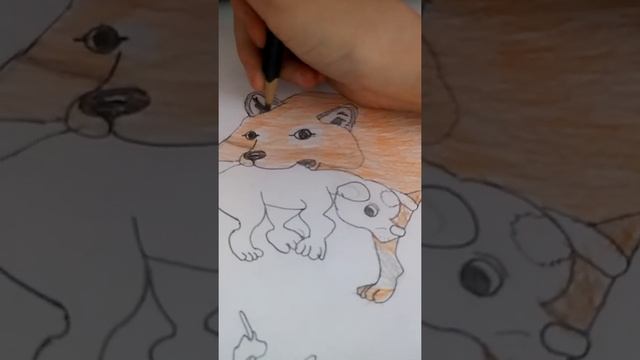 Раскрашиваю иллюстрацию к сказке "белолобый"/ 1 часть\ (Ч.О) смотреть онлайн