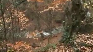 Куда поехать отдыхать в Крым -- гид по лучшим районам.