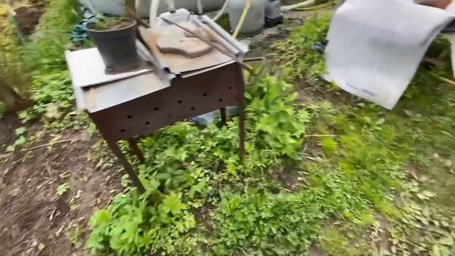 Что то «мужские томаты» не тянут на мужские ? / Когда очнётся виноград / У Любаши 14-15 мая 2022 г. смотреть онлайн