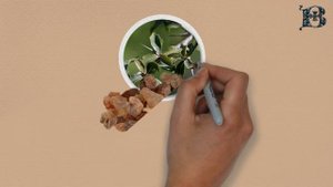 Библейские ароматы. Смирна | Граффити