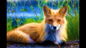 Добрая лиса: Kind fox