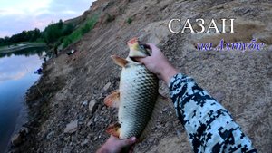 Ловля САЗАНА на Ахтубе, летняя рыбалка на донки.