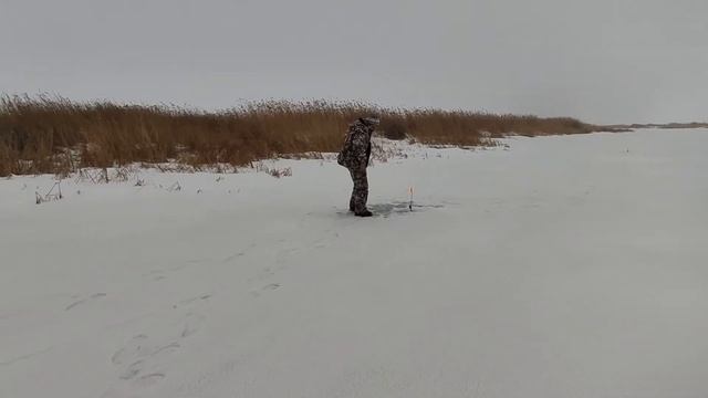 Рыбалка на Грачах 5 02 2022г смотреть онлайн