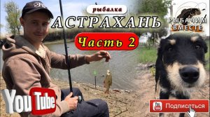 Астрахань. Сазаний угол. Бешенный клёв. Часть 2.mp4