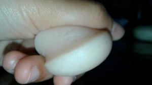 Новый скви...