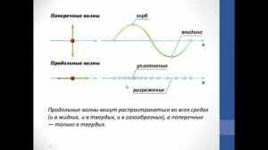 Физика. Объяснение темы "Скорость и длина волны"