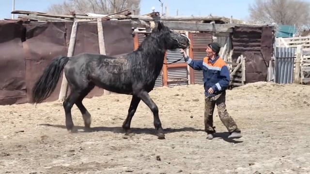 Этно-фестиваль Праздник первого кумыса.