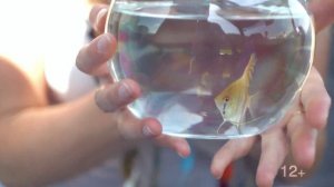 Дорожное Радио Красноярск