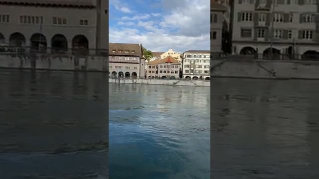 Lake in the center of Zurich Switzerland Озеро в центре Цюриха Швейцария  湖在瑞士苏黎世的中心 #shorts