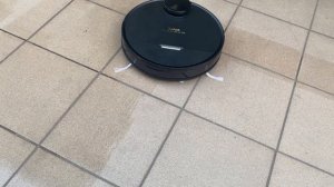 Tefal X-plorer Serie 95 Animal RG7975 - Test mopowania