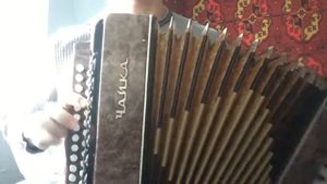 Ах судьба моя судьба !! На Гармони Чайка!!!