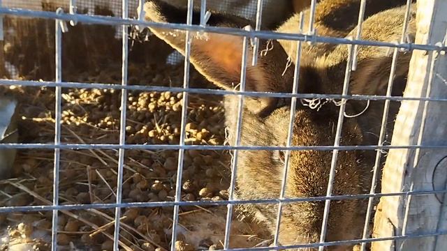 Вот как то так! И ни как иначе! смотреть онлайн