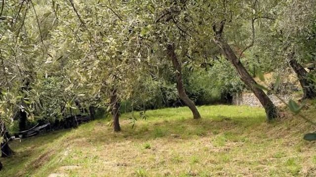 Недвижимость в Италии Лигурия. Дешево. Инвестиции в недвижимость в Италии 15