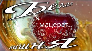 Белая вишня