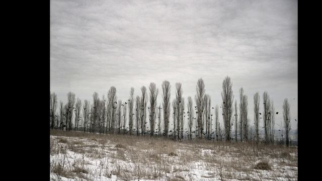 The Aftermath Project смотреть онлайн