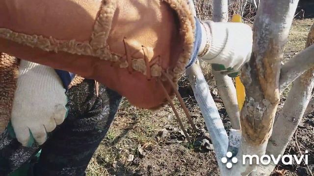 ВЛОГ/ Жизнь на даче. Ремонт, белю деревья, рассуждаю. смотреть онлайн