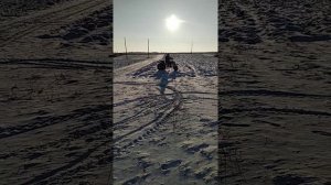 Трехколесный мотоблок