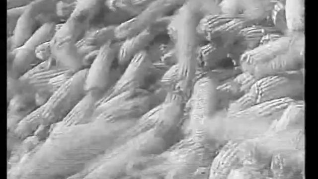 Ахметов М.Х., Тарчоков К. Б. 1 смотреть онлайн