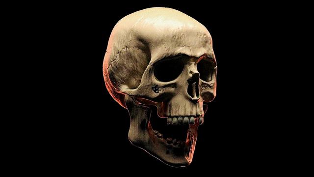 "Live Life Fast" - [FREE] Rap Beat | Freestyle Rap Trap Type Beat Hip Hop Beats Instrumental Free смотреть онлайн