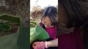 04. Вермиферма в квартире. 5 месяцев спустя, заключительная часть и итоги.