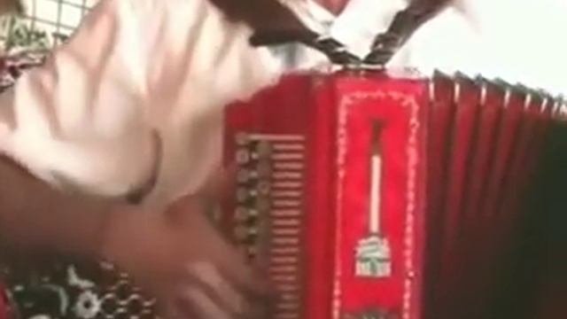 ГАРМОШЕЧКА ГОВОРУШЕЧКА.великолепная игра на гармони VICTORIYA